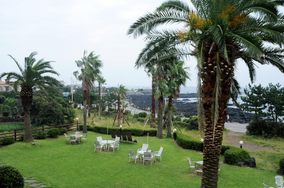 Cherry House Seogwipo Ngoại thất bức ảnh